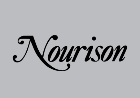 Nourison Rugs and Carpets